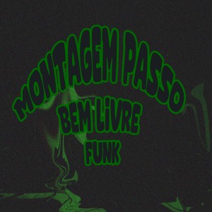 收听MHSRYY的Montagem Passo Bem Livre Funk (Mega Slowed)歌词歌曲