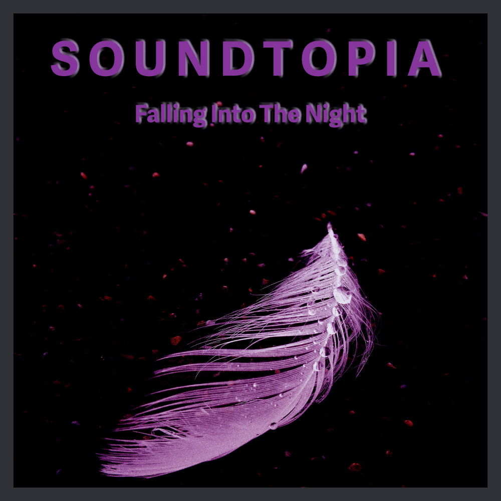 Falling Into The Night