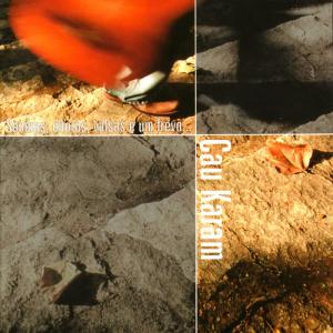 ดาวน์โหลดและฟังเพลง Valsando, frevando, mas sem saber frevar direito พร้อมเนื้อเพลงจาก Cau Karam