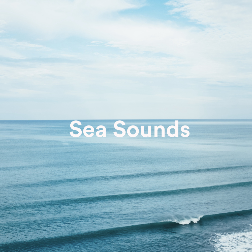 Waves