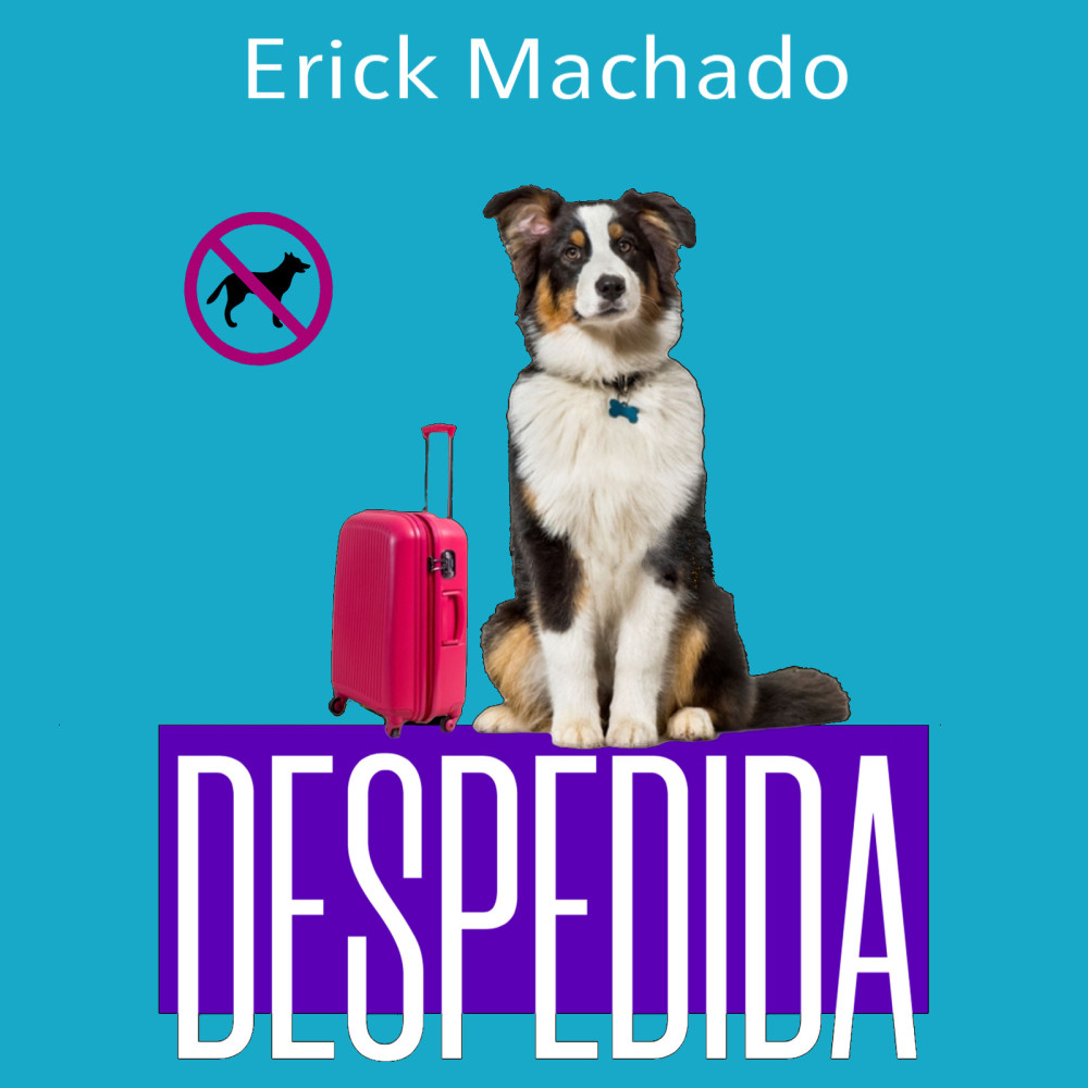 Despedida