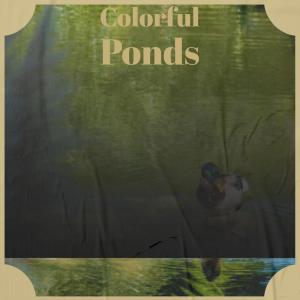 Album Colorful Ponds from Various