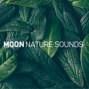 收聽Moon Tunes的Ocean Sleep歌詞歌曲