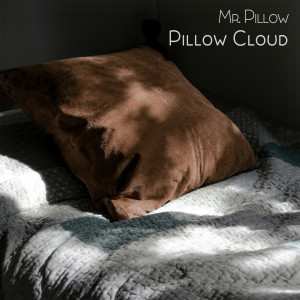 Listen to Pillow Cloud song with lyrics from Mr. Pillow
