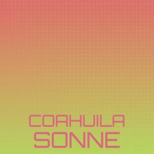 Various的专辑Coahuila Sonne