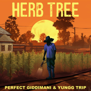 Perfect Giddimani的专辑Herb Tree