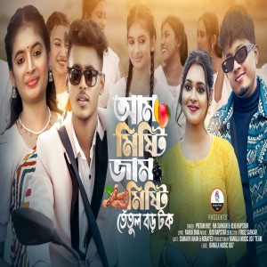 Listen to Am Misti Jam Misti Tatul Boro Tok song with lyrics from Pritam Roy