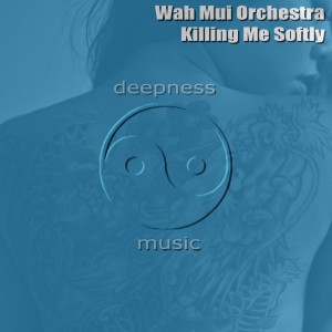 收聽Wah Mui Orchestra的Killing Me Softly歌詞歌曲