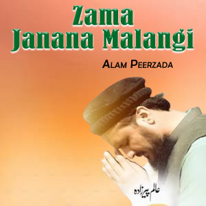 Listen to Zama Janana Malangi Da song with lyrics from Alam Peerzada
