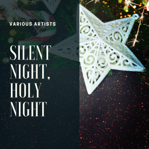 ดาวน์โหลดและฟังเพลง Silent Night, Holy Night พร้อมเนื้อเพลงจาก Mitch Miller