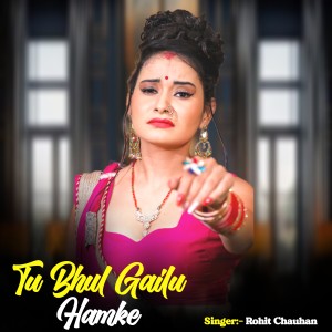 Album Tu Bhul Gailu Hamke from Rohit Chauhan
