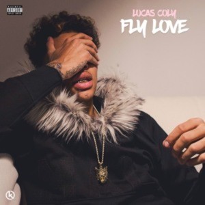Listen to Fly Love song with lyrics from Lucas Coly