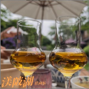 Listen to 渼陂湖 (Demo) song with lyrics from 任向东