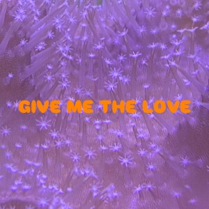 Album Give me the love from 
