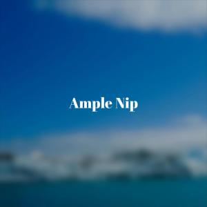 Album Ample Nip from Various