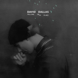 David Dallas的專輯Falling Into Place