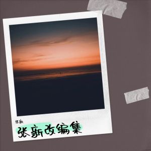 Listen to 叫姐姐 (张新 remix) (Remix) song with lyrics from 张新