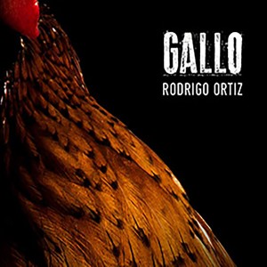 ดาวน์โหลดและฟังเพลง Mariposa พร้อมเนื้อเพลงจาก Rodrigo Ortiz