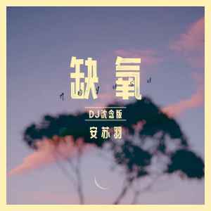 Album 缺氧(DJ沈念版) oleh 安苏羽