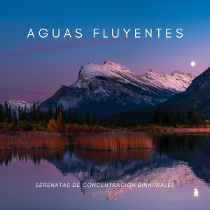 Ondas cerebrales de latidos binaurales的專輯Aguas Fluyentes: Serenatas De Concentración Binaurales