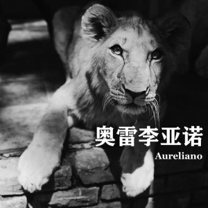 ดาวน์โหลดและฟังเพลง 我们在一起 พร้อมเนื้อเพลงจาก 李洪川