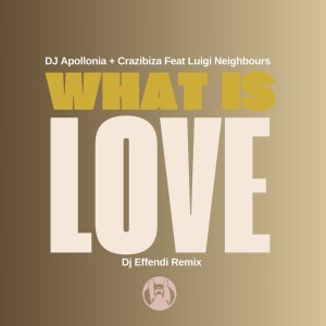 Album What Is Love (Dj Effendi Radio Mix) oleh DJ Apollonia