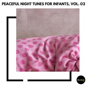 Album Peaceful Night Tunes for Infants, Vol. 02 from Various