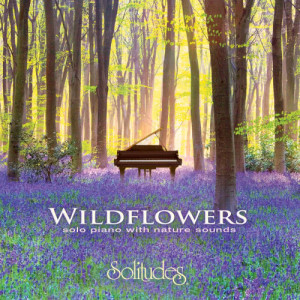 ดาวน์โหลดและฟังเพลง Trillium Tranquility พร้อมเนื้อเพลงจาก Dan Gibson's Solitudes