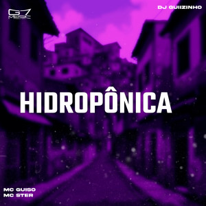 Dengarkan Hidroponica (Explicit) lagu dari DJ Guiizinho dengan lirik