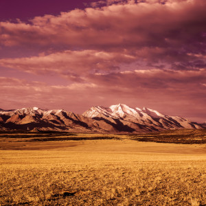 The Tibetan Singing Bowls的專輯Tranquil Vibrations & Steady Mind