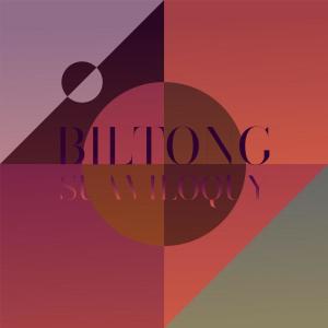 Various Artists的專輯Biltong Suaviloquy