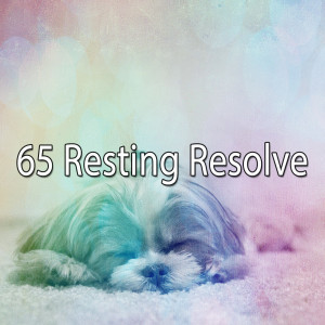 ดาวน์โหลดและฟังเพลง Living In Bed พร้อมเนื้อเพลงจาก Nature Recordings