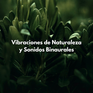 Album Vibraciones De Naturaleza Y Sonidos Binaurales oleh Ruidos de la Selva