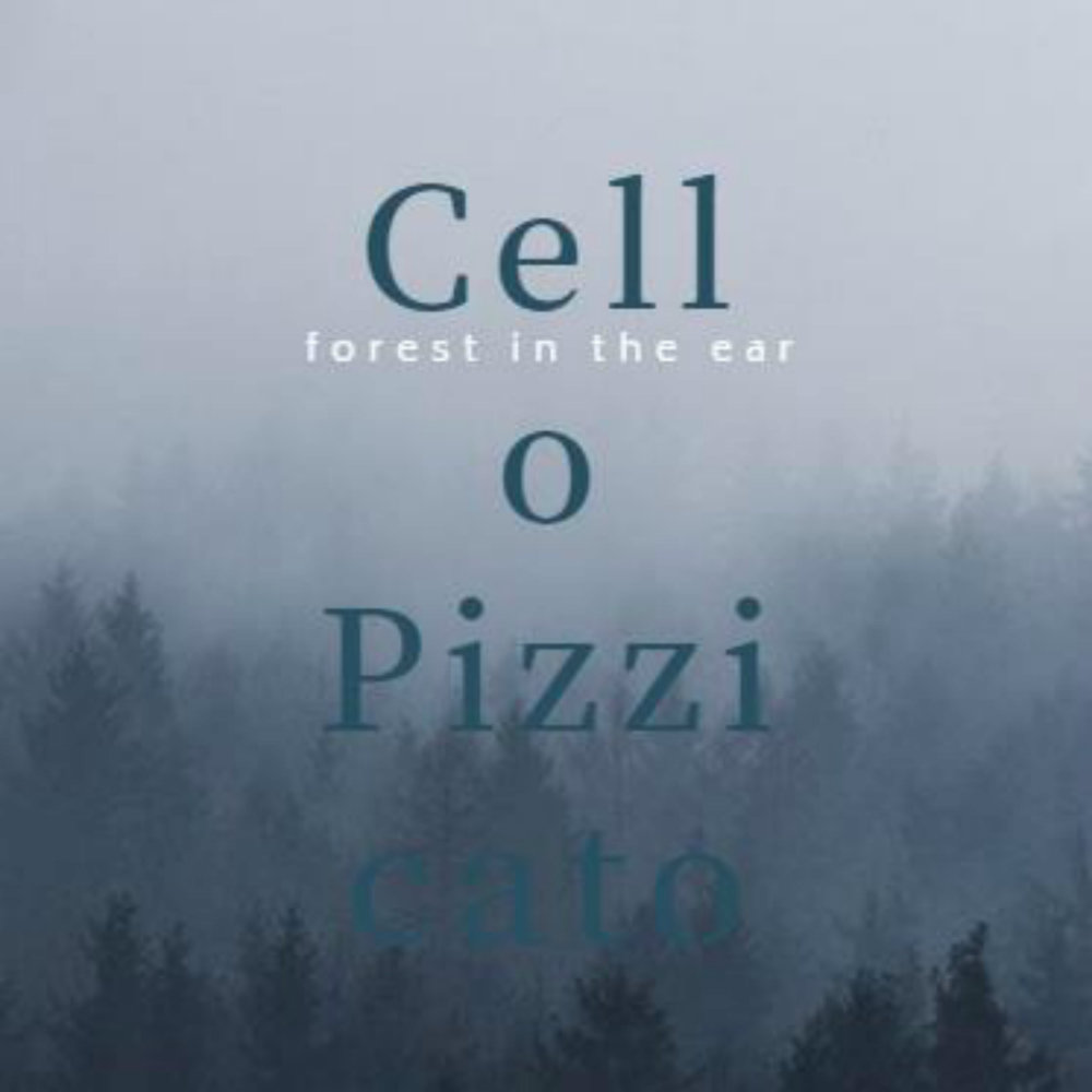 Cello Pizzicato