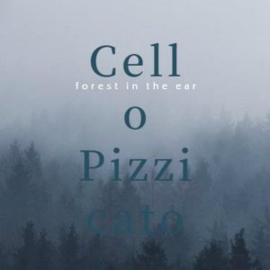 Listen to Cello Pizzicato song with lyrics from 小杰