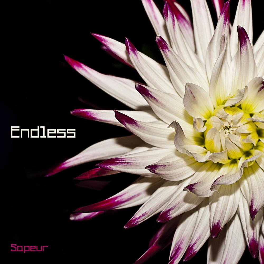 Endless