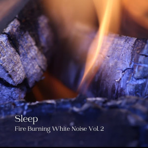Sleep: Fire Burning White Noise Vol. 2