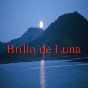 Album Brillo de Luna from Brillo