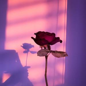 ดาวน์โหลดและฟังเพลง I Can't Forget You (feat. Kayou.) (slowed & reverb) พร้อมเนื้อเพลงจาก rainymelon