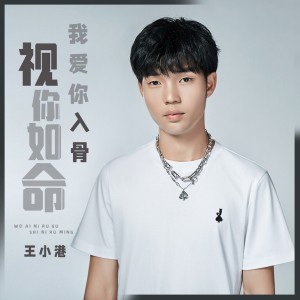 收聽王小港的我愛你入骨視你如命 (DJ默涵版)歌詞歌曲