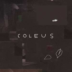 ดาวน์โหลดและฟังเพลง Coleus พร้อมเนื้อเพลงจาก Aleph One
