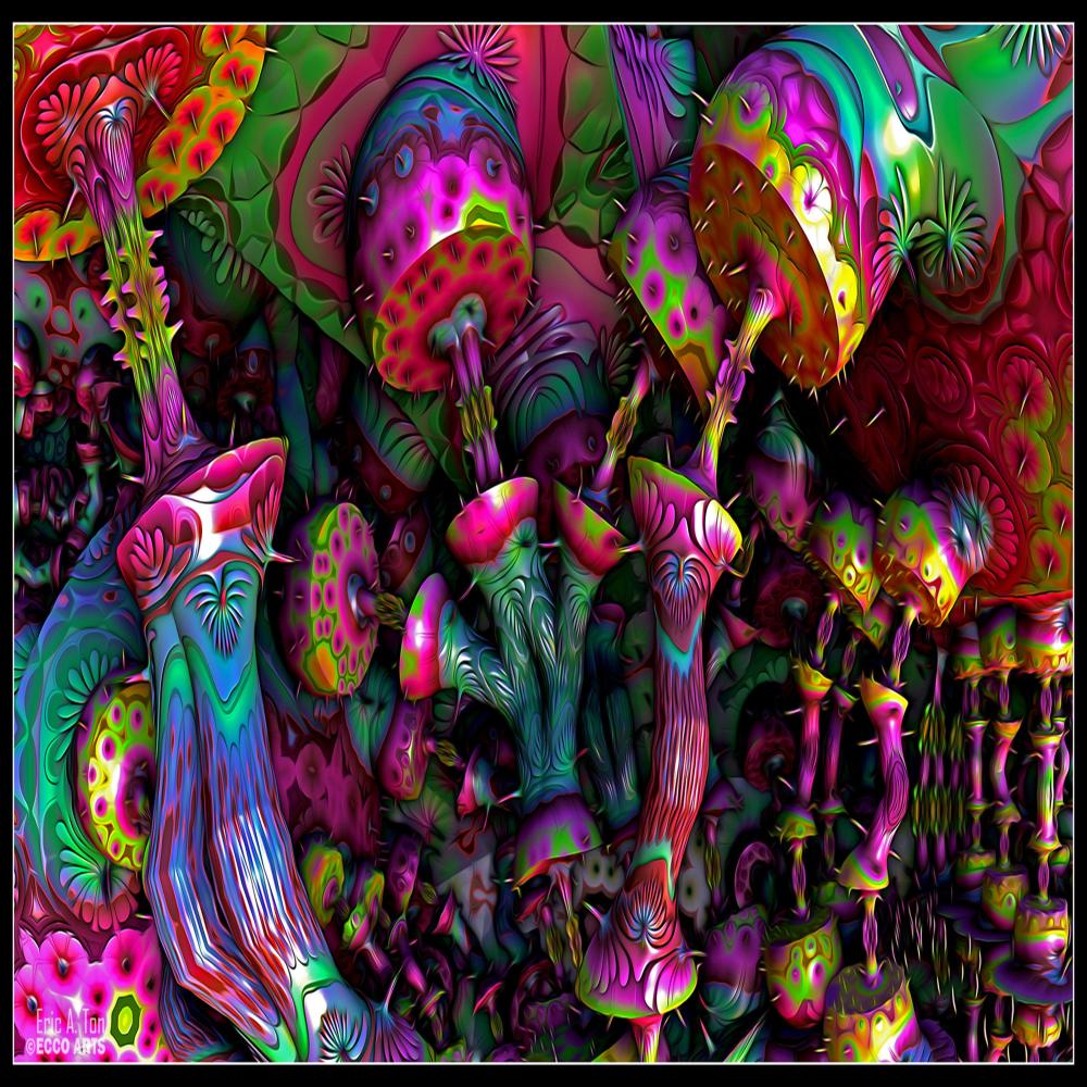 Hallucination