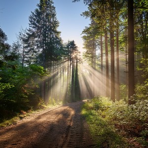 ดาวน์โหลดและฟังเพลง Orquesta Pinta Sonido พร้อมเนื้อเพลงจาก Más allá del tiempo