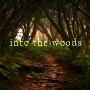 Native American Flute的專輯Into the Woods