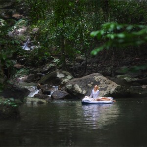 Dengarkan Blue Bird lagu dari Slaapmuziek dengan lirik