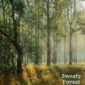 Dengarkan Sweaty Forest lagu dari The Hoodies dengan lirik