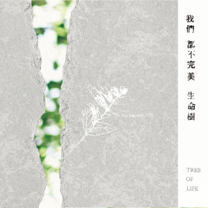 Album 我们都不完美 from 生命树乐团