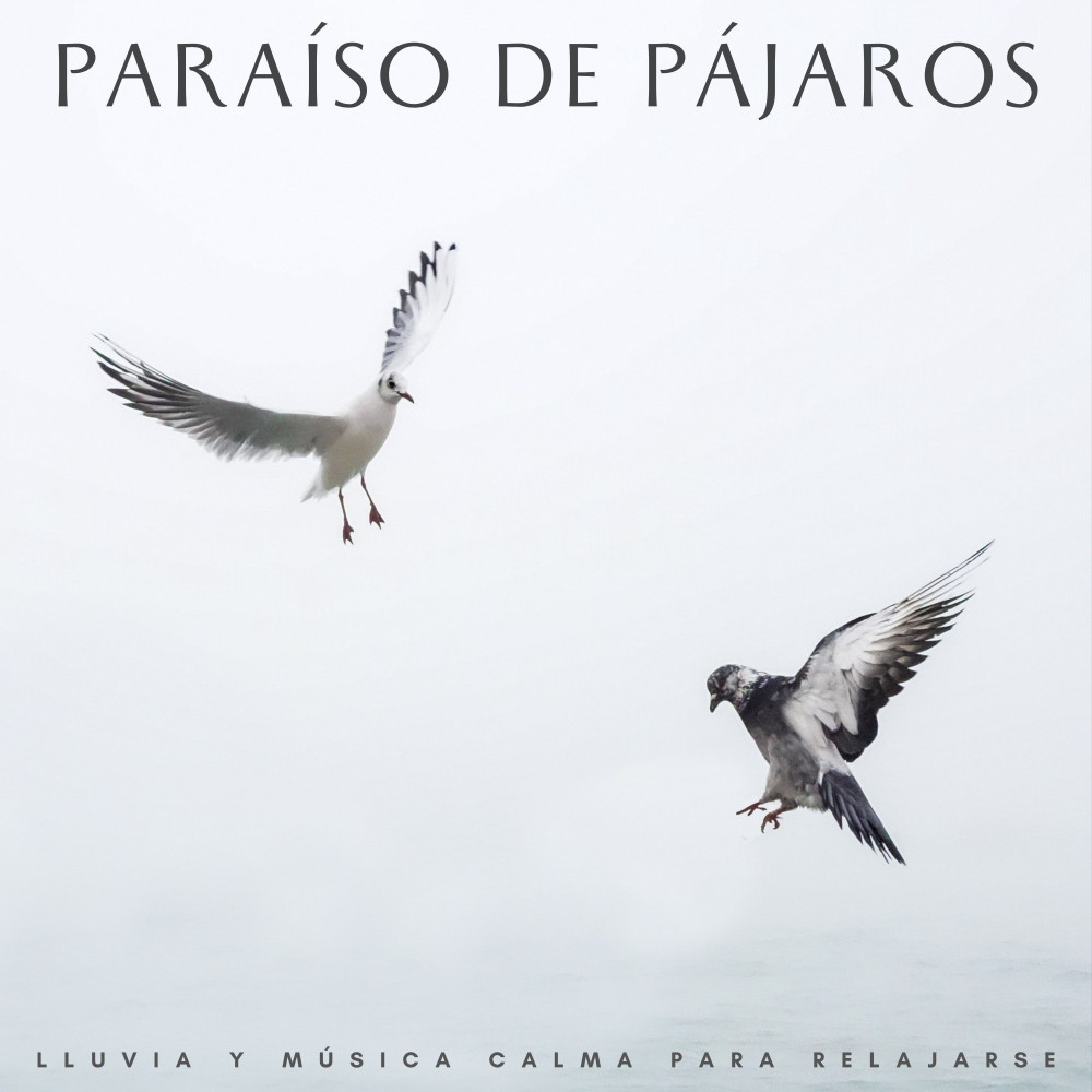 Refugio Melódico De Cantos De Pájaros