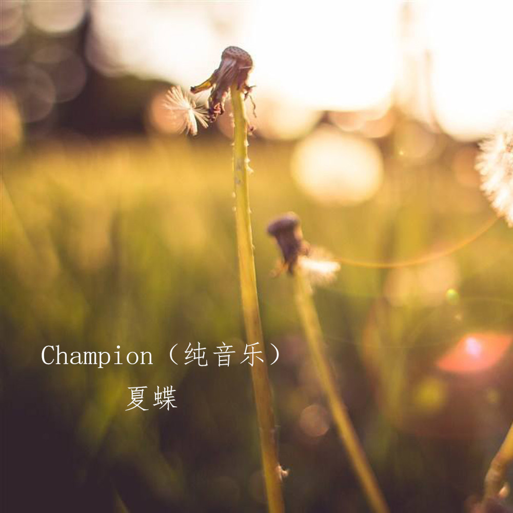 Champion (纯音乐)