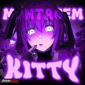 收聽RezaDead的MONTAGEM KITTY (Sped Up)歌詞歌曲
